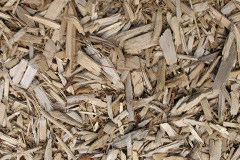 biomass boilers Llandecwyn